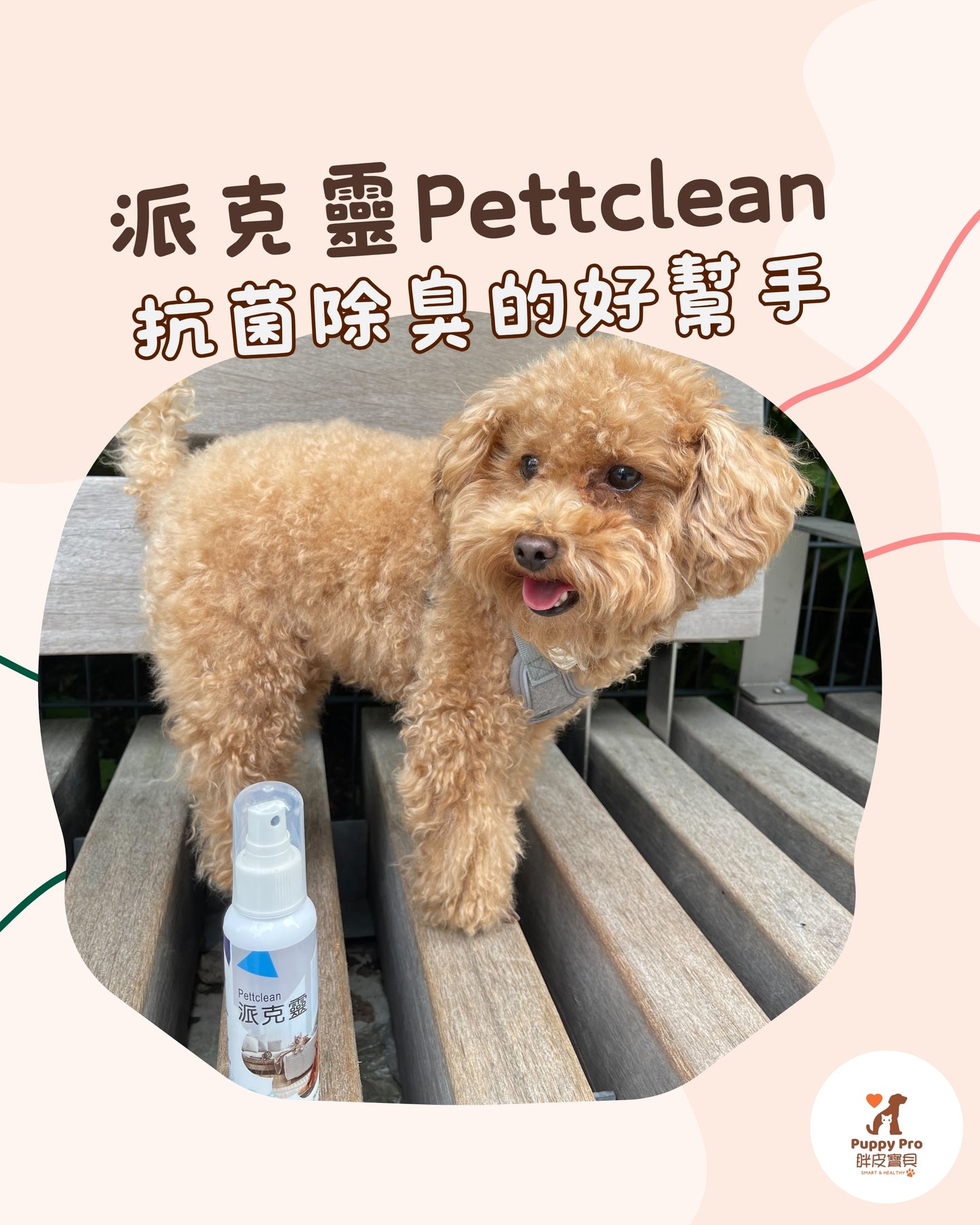 派克靈Pettclean 廣效抗菌除臭噴霧 100ml