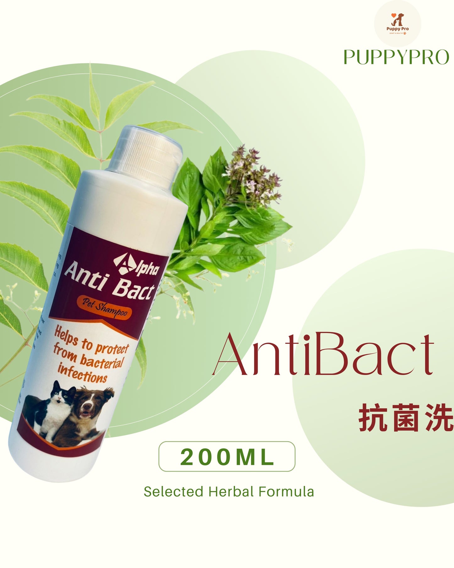 AntiBact 抗菌洗 - 天然草本寵物洗毛精 200ml