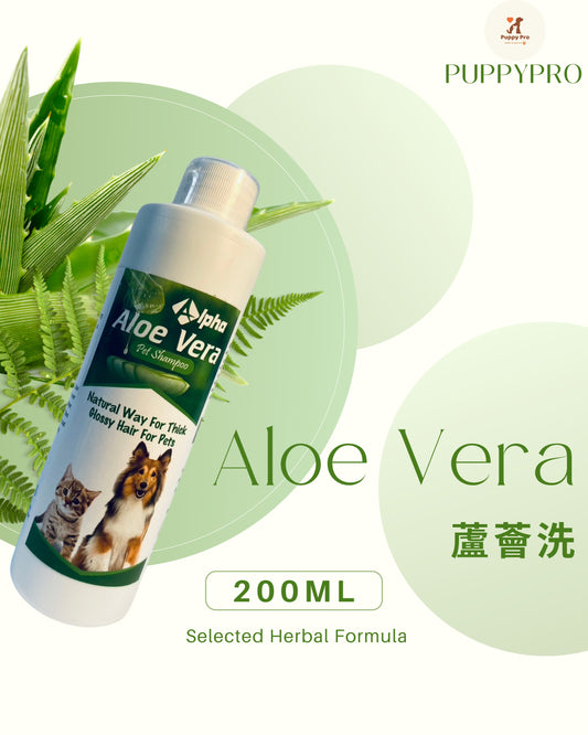 Aloe Vera 蘆薈洗 - 天然草本寵物洗毛精 200ml - PuppyPro