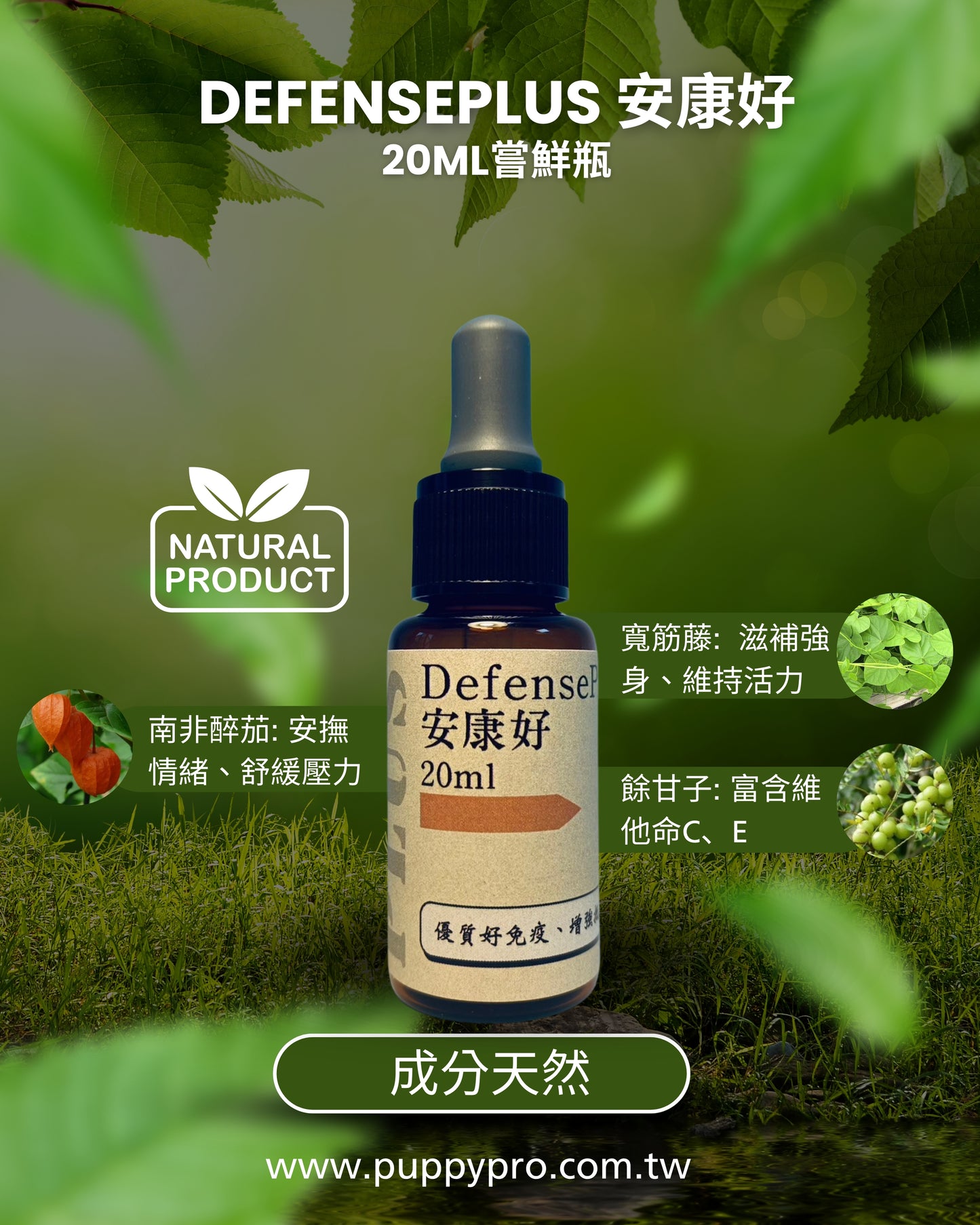 DefensePlus 安康好 - 免疫調節 - 純天然草本寵物保健食品 20ml - PuppyPro
