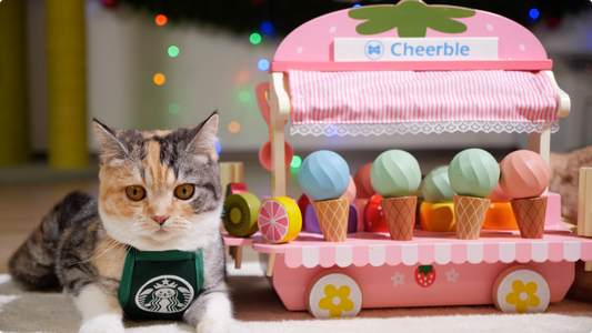 Icecream ball 冰淇淋球 寵物貓咪玩具球 - PuppyPro胖皮寶貝